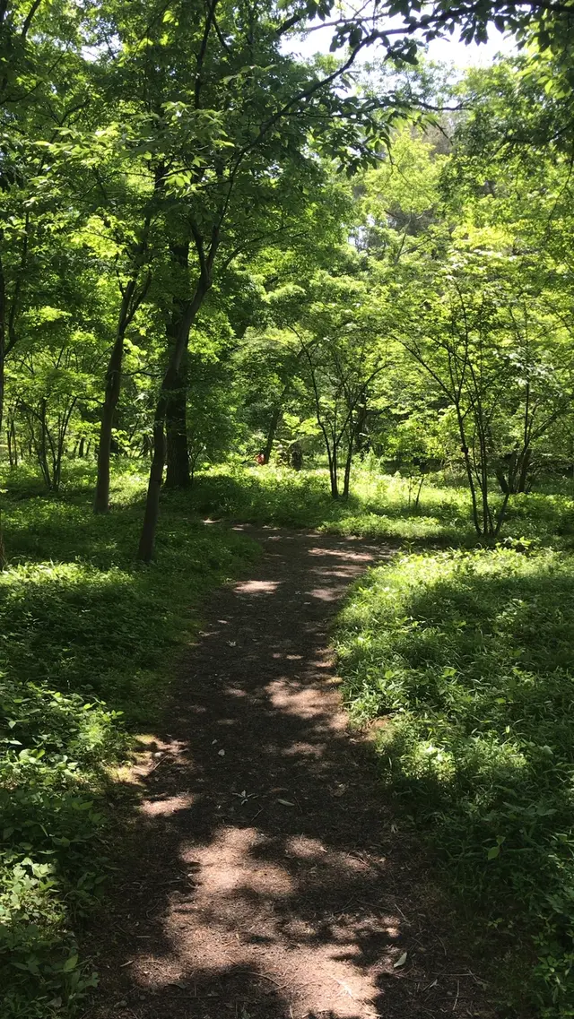 二の丸庭園