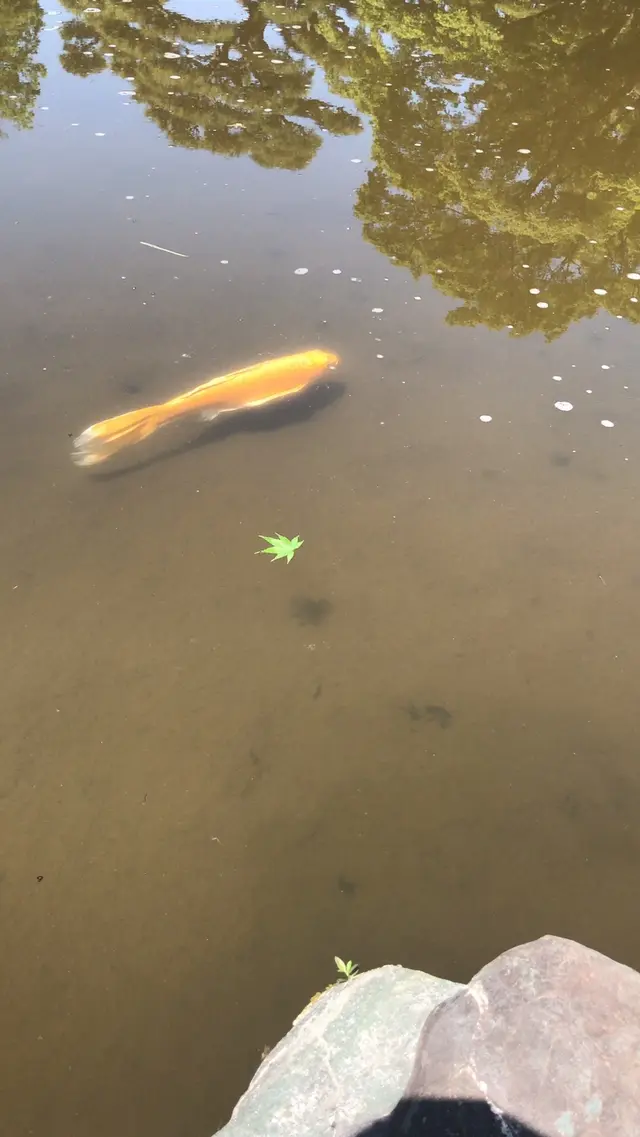 二の丸庭園