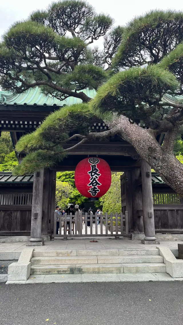 長谷寺