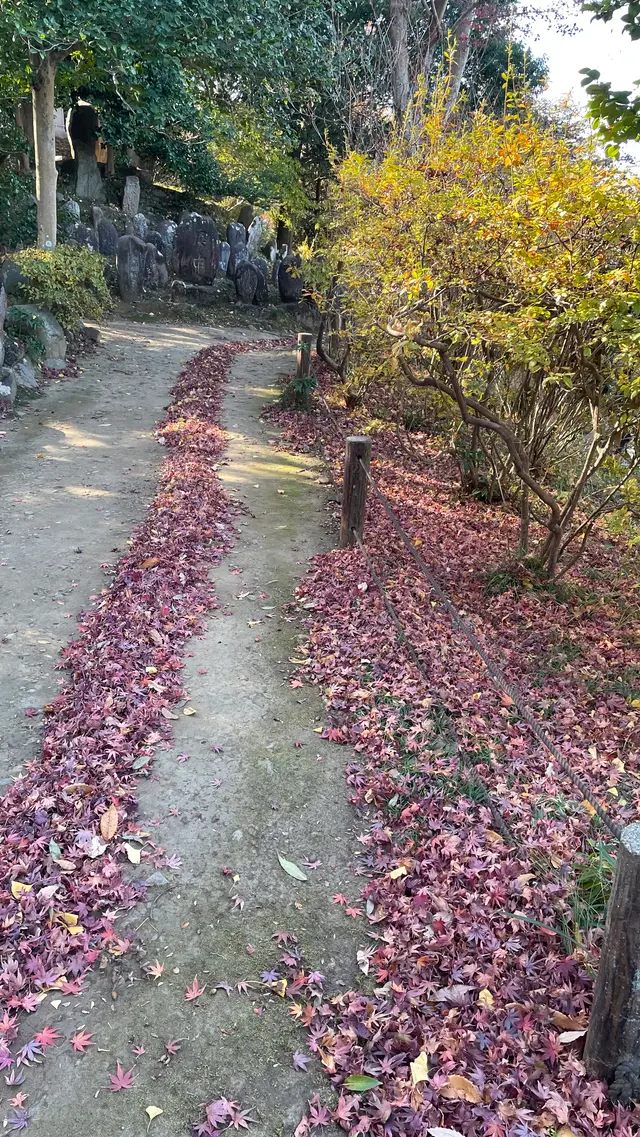 少林山達磨寺