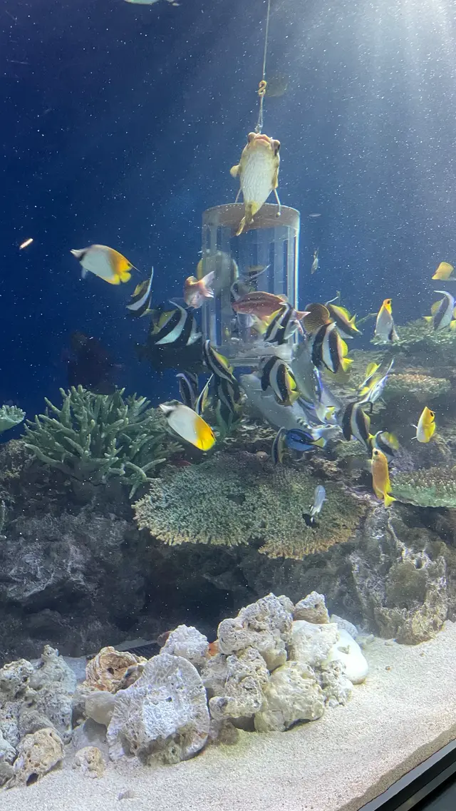 マリンワールド海の中道