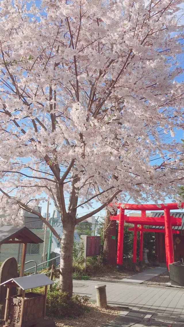 赤城神社
