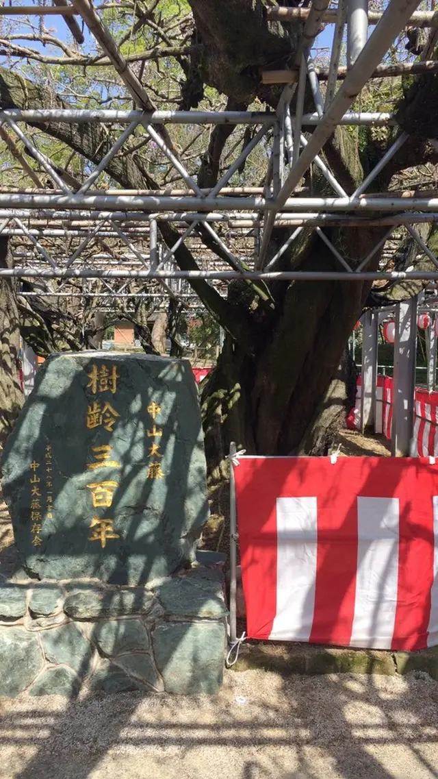 立花いこいの森