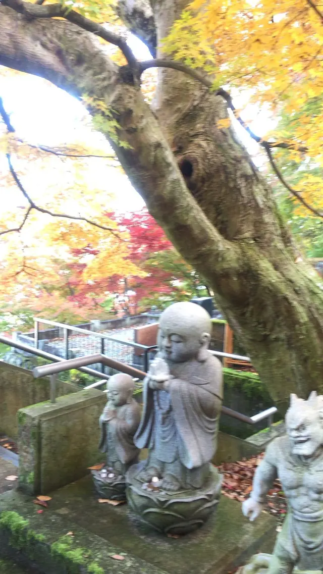永源寺（もみじ寺）