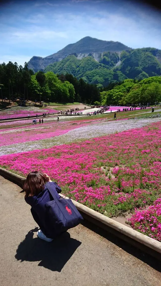 羊山公園