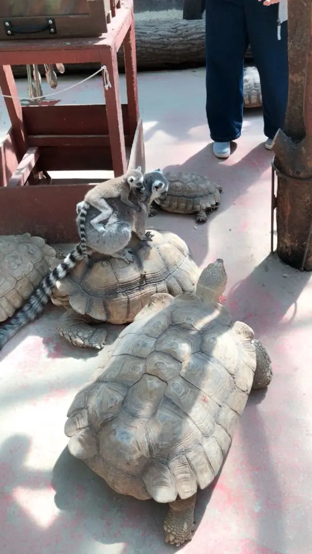 ノースサファリサッポロ