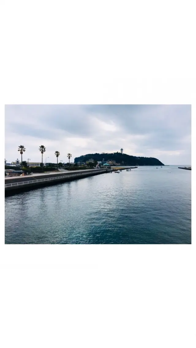 新江ノ島水族館