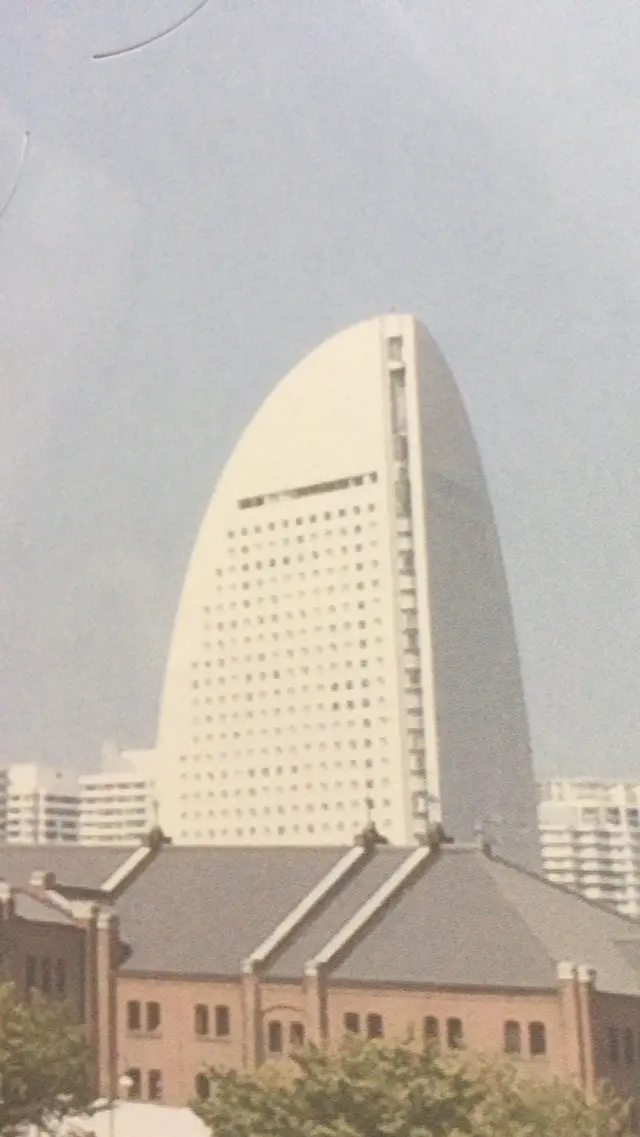 日本大通り