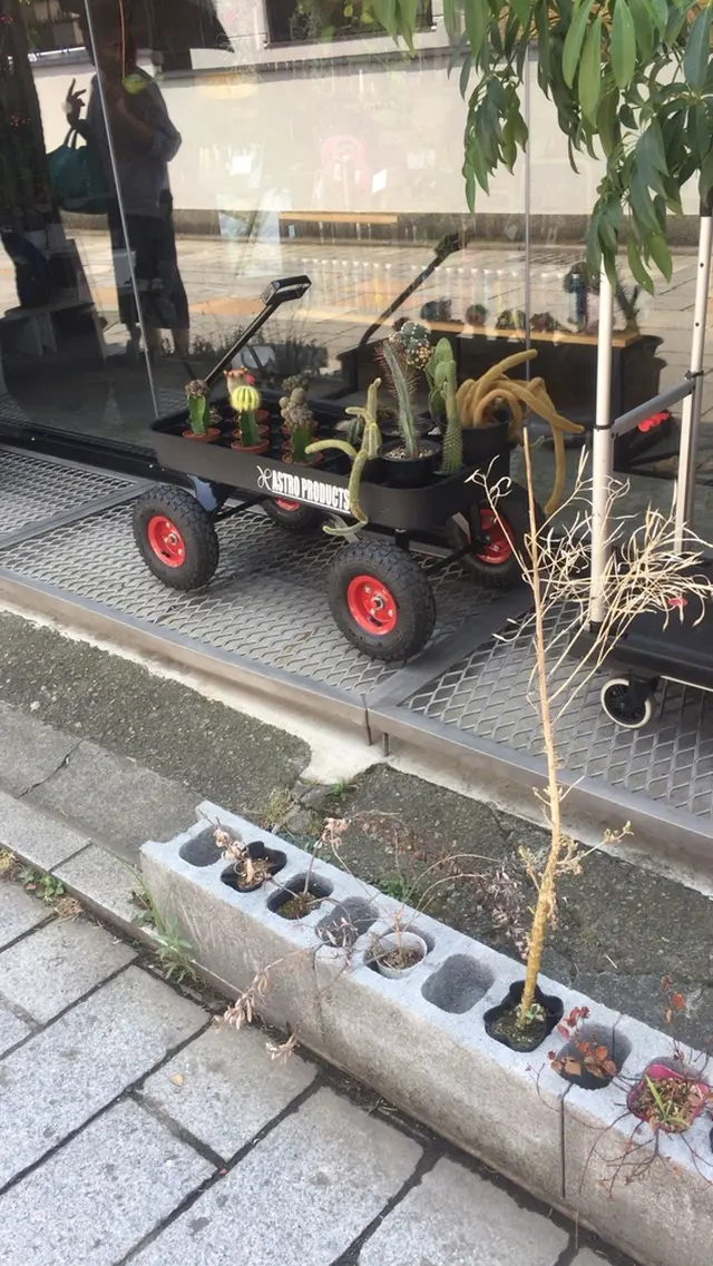 小江戸川越一番街商店街 蔵造りの町並み