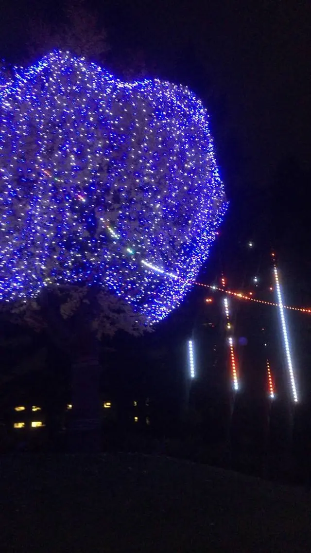 東京ミッドタウン