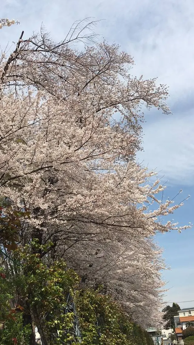 与野公園