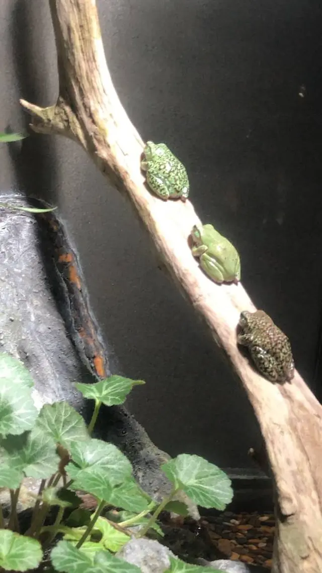 アクア・トト　ぎふ