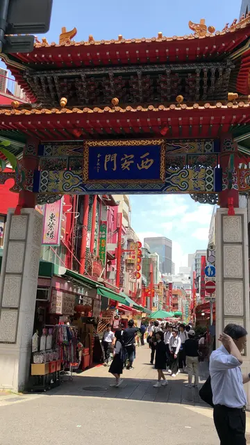 掬星台