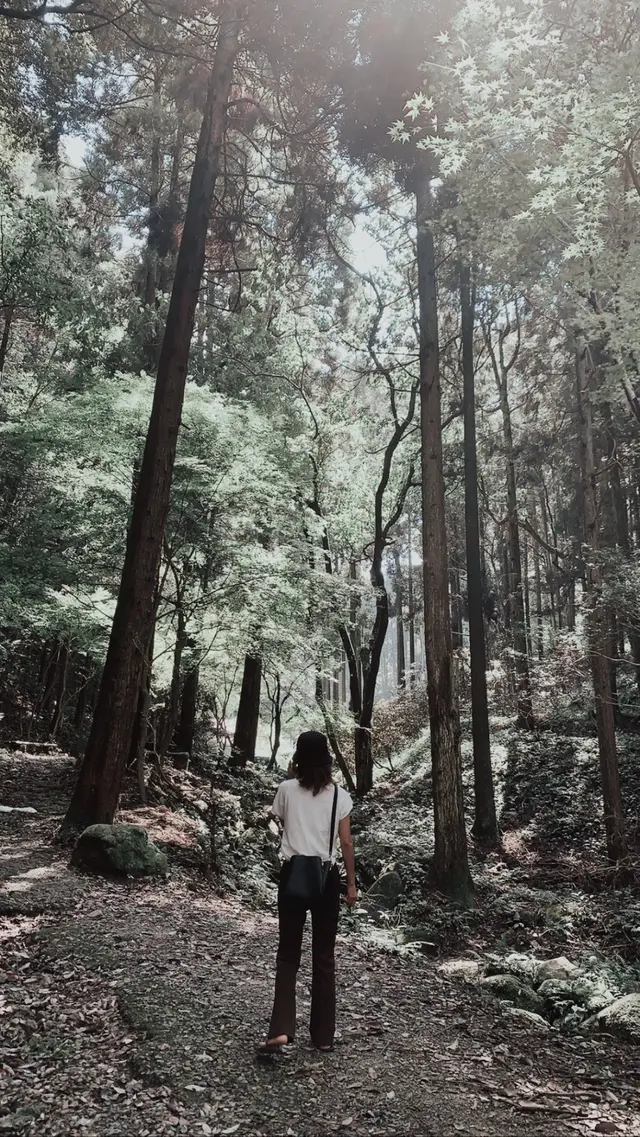 天拝山歴史自然公園