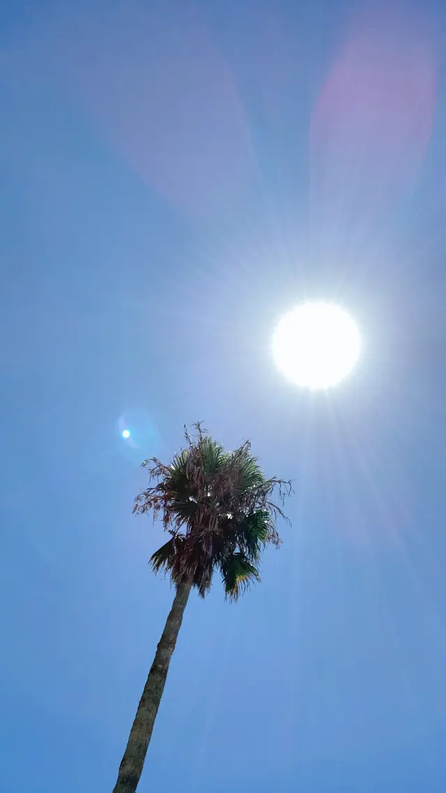 コスタ・デル・ソル海水浴場