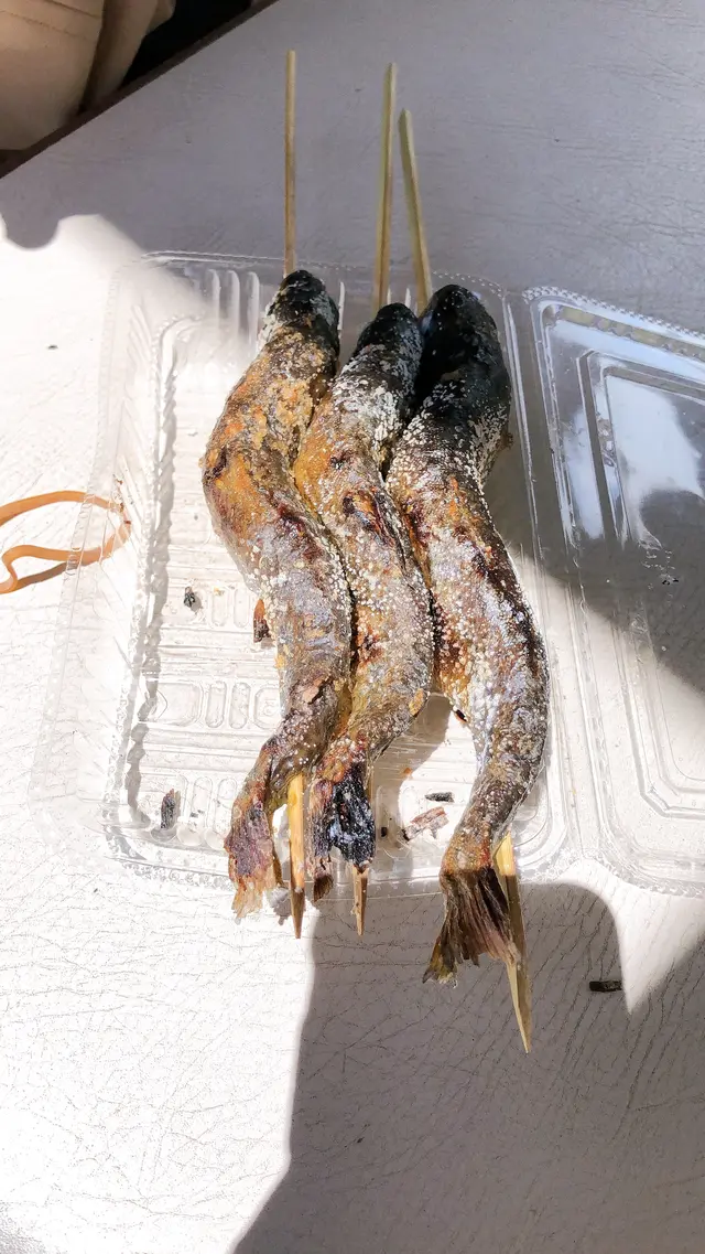 フィッシングエリア やま里