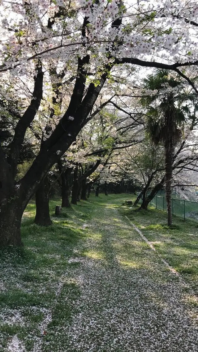 長成池