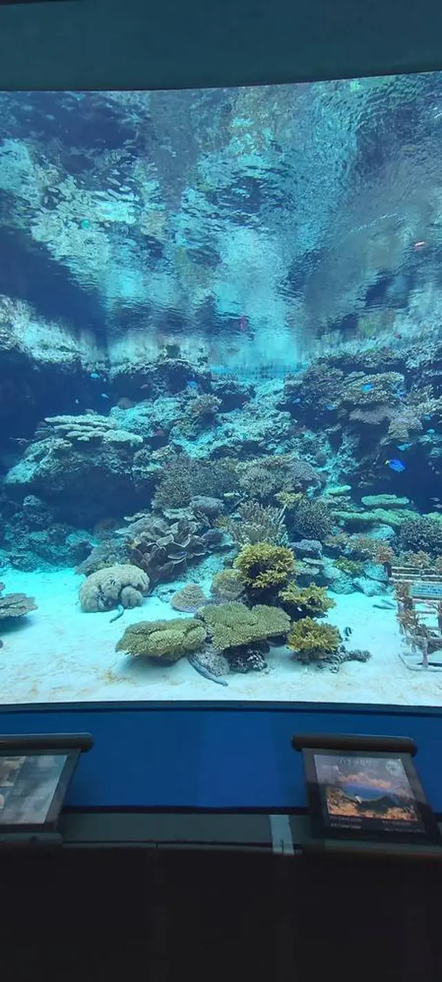 沖縄