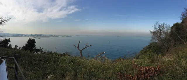猿島