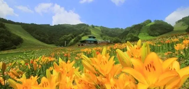 【閉業】尾瀬岩鞍ゆり園
