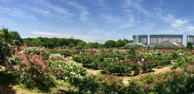 京成バラ園