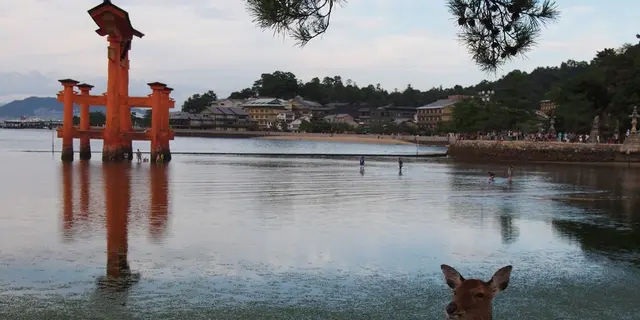 広島、気ままに満喫ひとり旅♡