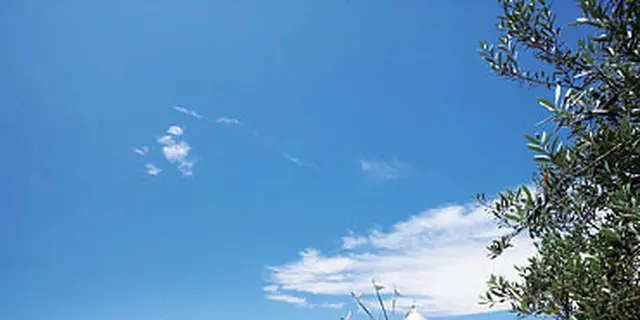 小豆島 オリーブを巡る旅
