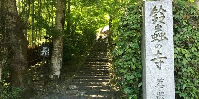 日帰り京都観光