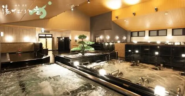 綱島源泉 湯けむりの庄