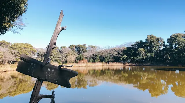 大瀬崎