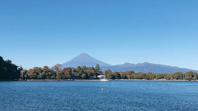 大瀬崎