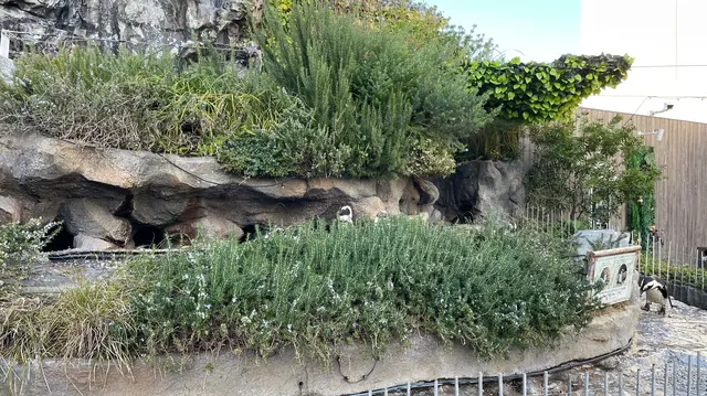 サンシャイン水族館