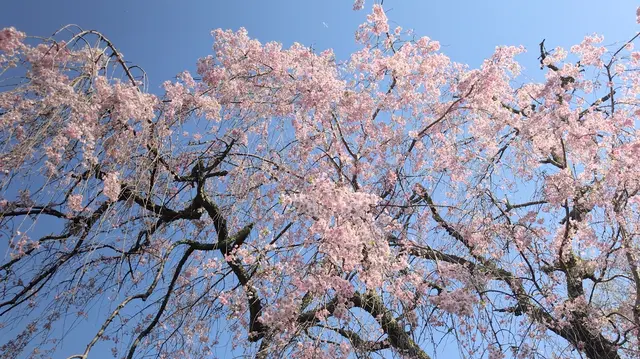 泉自然公園