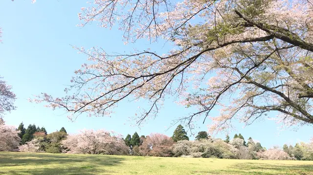 泉自然公園