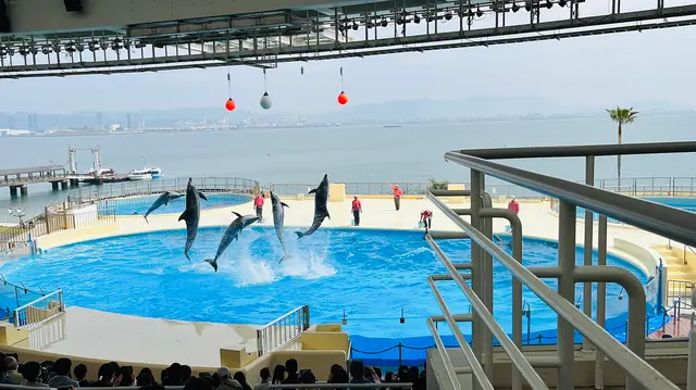 マリンワールド海の中道