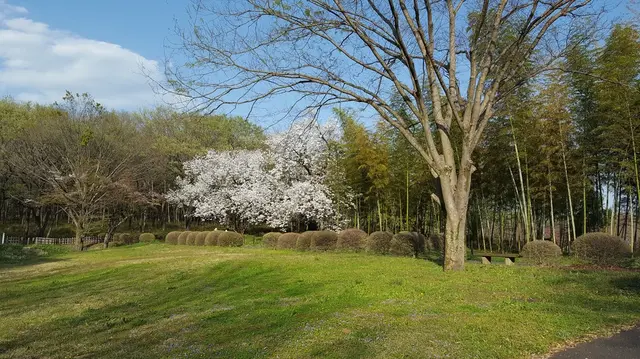 国営武蔵丘陵森林公園