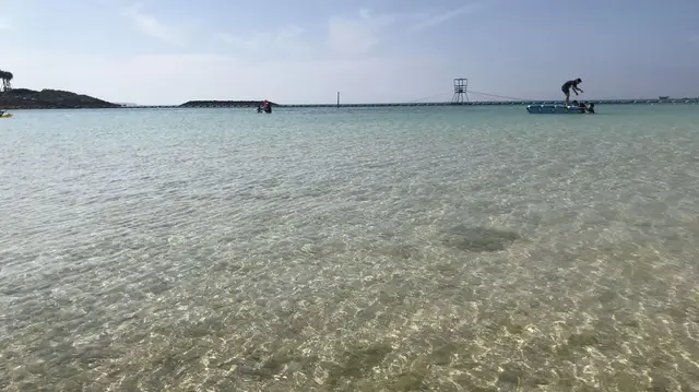 きしもと食堂