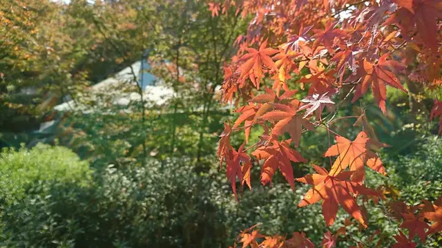 耕三寺・耕三寺博物館