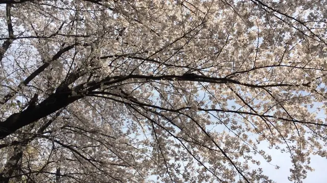与野公園