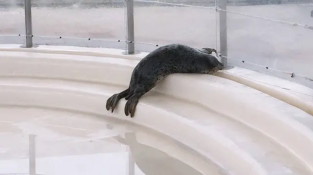 大分マリーンパレス水族館 うみたまご