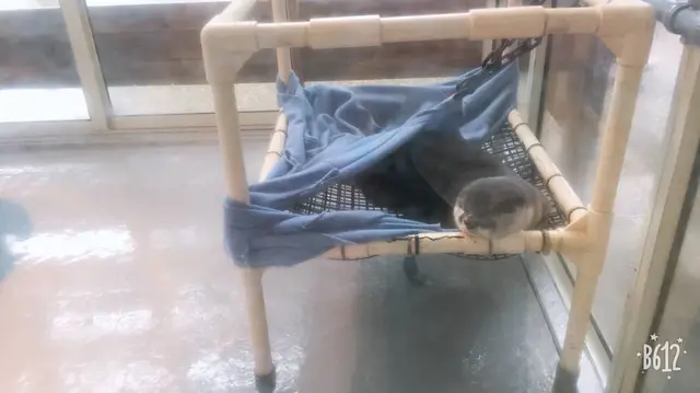 大分マリーンパレス水族館 うみたまご
