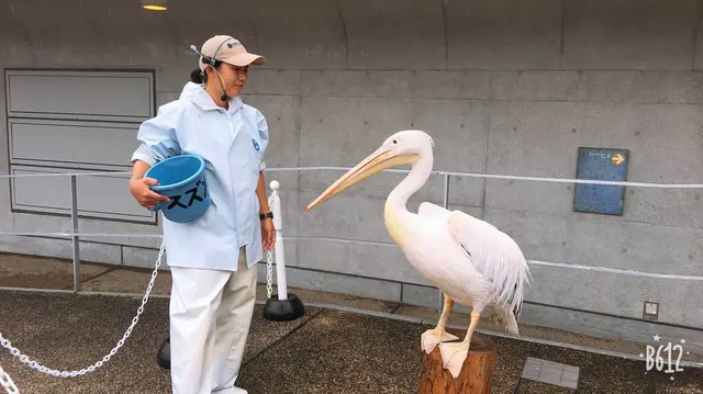 大分マリーンパレス水族館 うみたまご