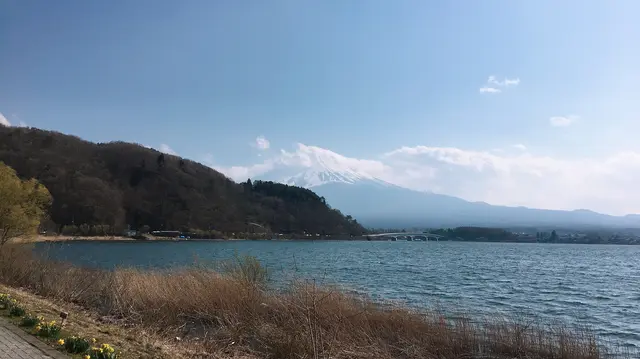 ほうとう研究所