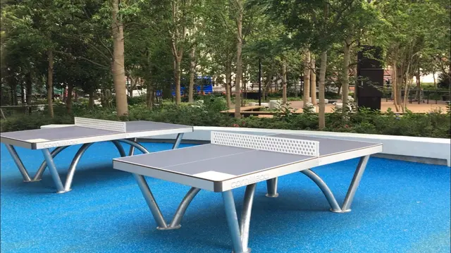 ピンポンフォレスト