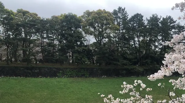 千鳥ヶ淵緑道