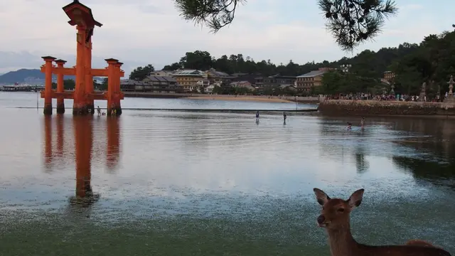 広島、気ままに満喫ひとり旅♡