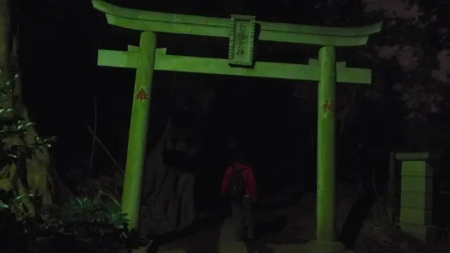 幕張ナイトハイク