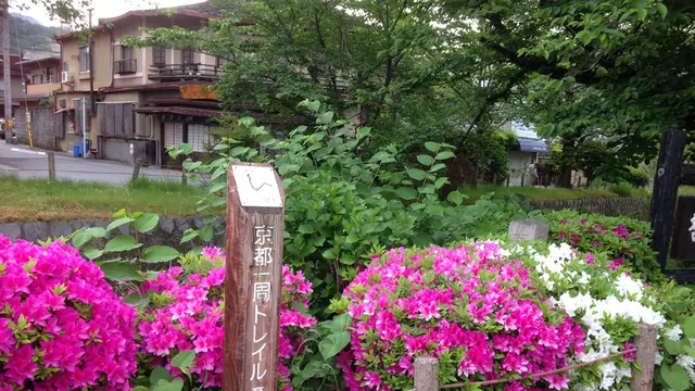 京都を歩く!(トレイルと銀閣寺周辺)