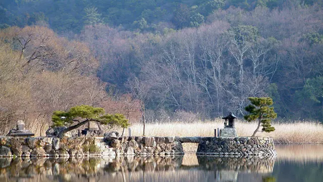 京都・一人で歩く奥嵯峨
