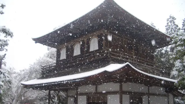 絶景かな！絶景かな！雪が舞い降る京のまち
